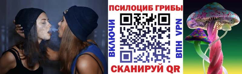 как найти   Печора  Псилоцибиновые грибы прущие грибы 
