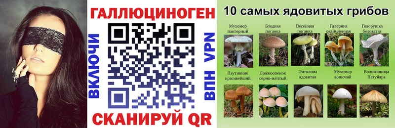 Галлюциногенные грибы Psilocybe Печора
